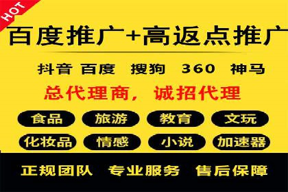顶级SEM运营公司案例分析